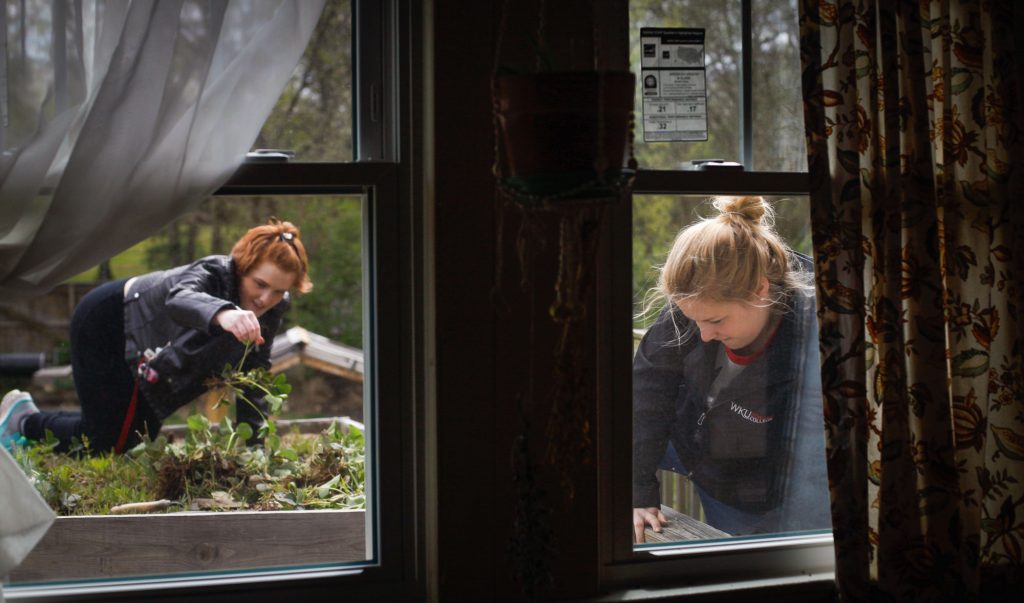  Megan Laffoon, a Louisville senior, works on the rooftop garden at the Office of Sustainability. She attended meetings at the office and worked on garden projects weekly. “When I was younger, I remember making fairy gardens in my yard,” Laffoon said. “I’ve always loved being outside and working with my hands.”